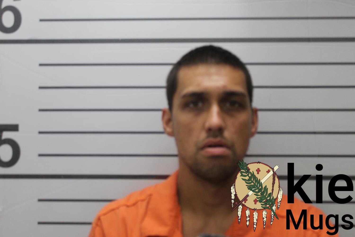 Booking photo of MICHAEL D PARMELE