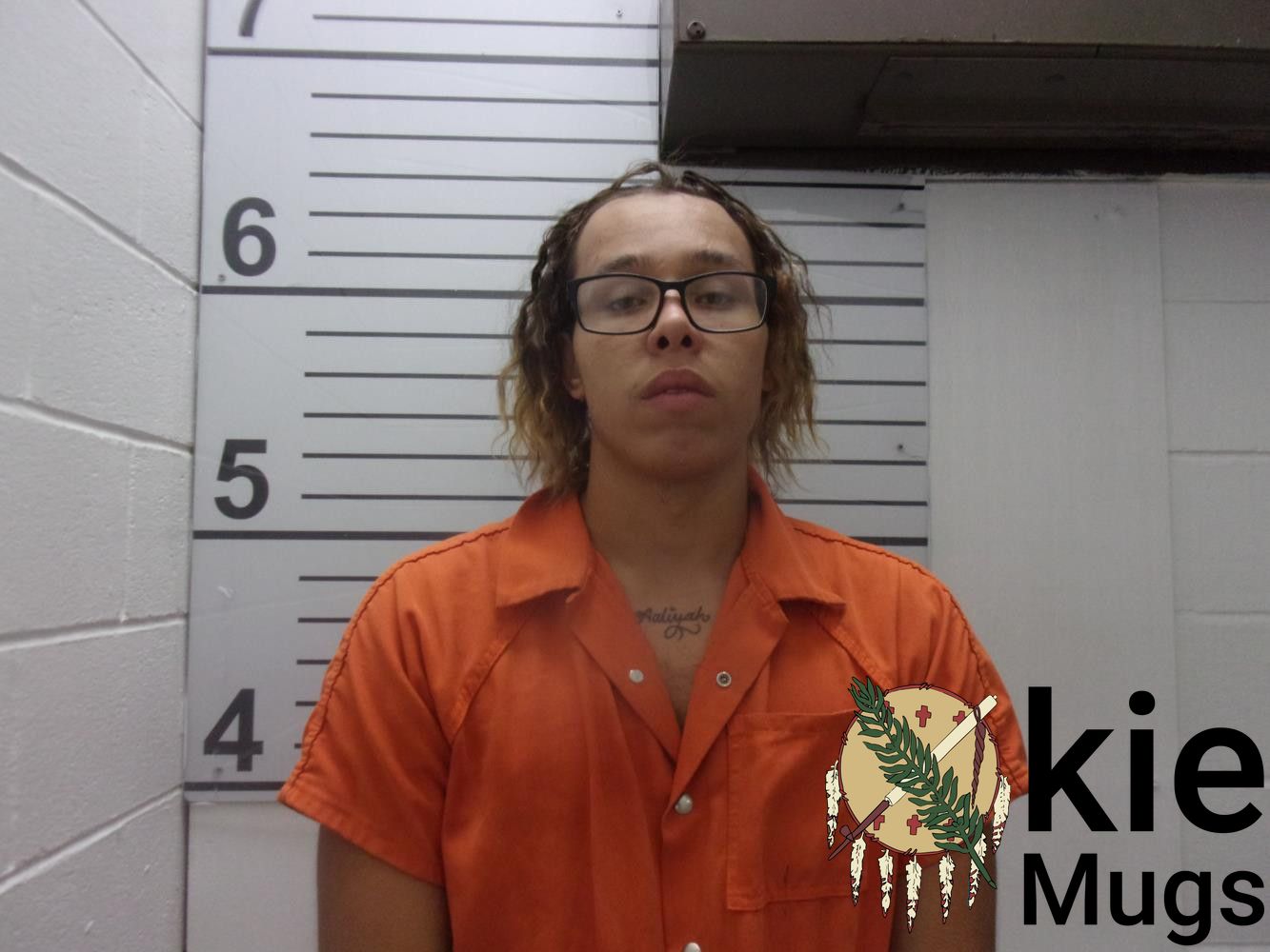Booking photo of MICHAEL DALE (CHEROKEE) JORDAN