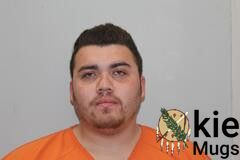 Booking photo of MICHAEL DWAYNE LANSAW