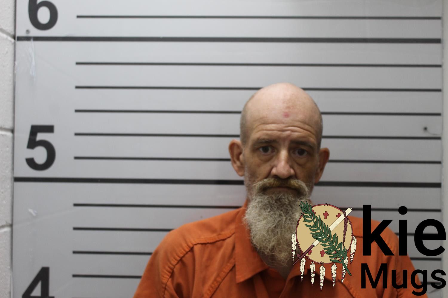 Booking photo of MICHAEL GENE LONG
