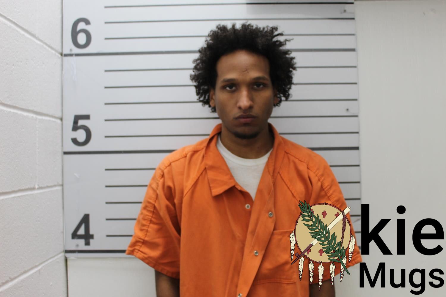 Booking photo of MICHAEL PHILLIP WILKINS