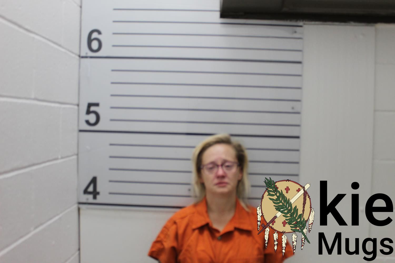 Booking photo of MICHELE ANN (CREEK) TAYLOR