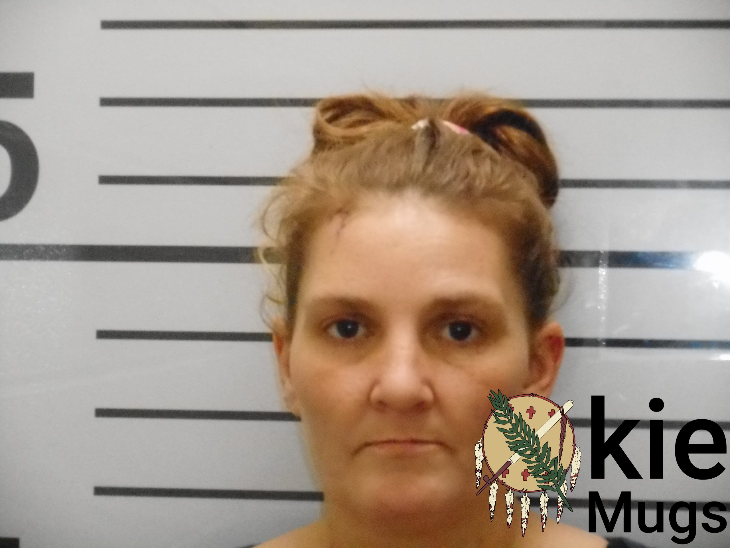 Booking photo of MICHELE MARIE EVANS