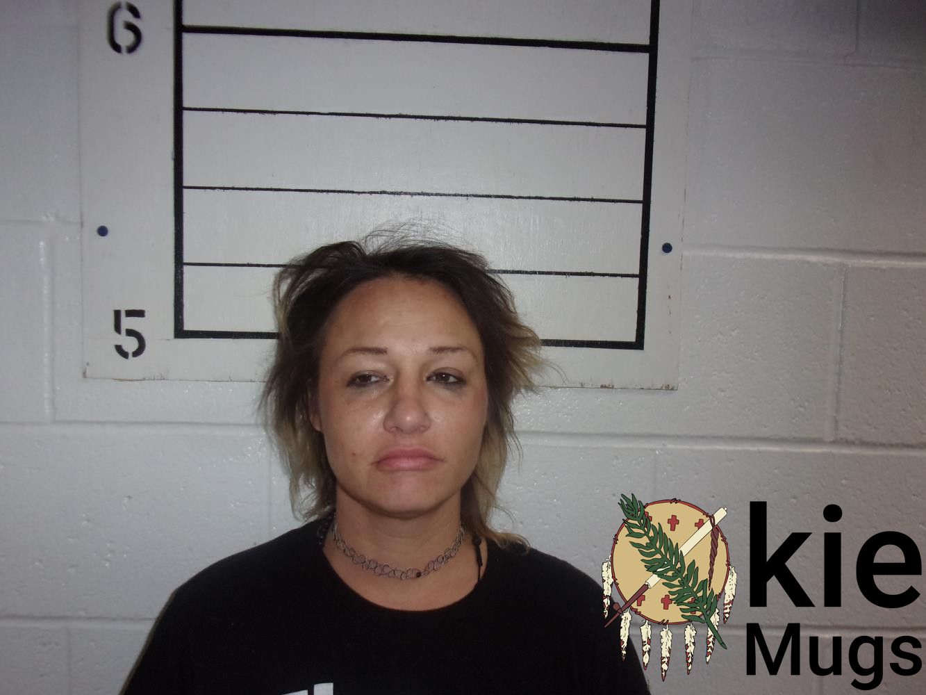Booking photo of MICHELLE HARPER