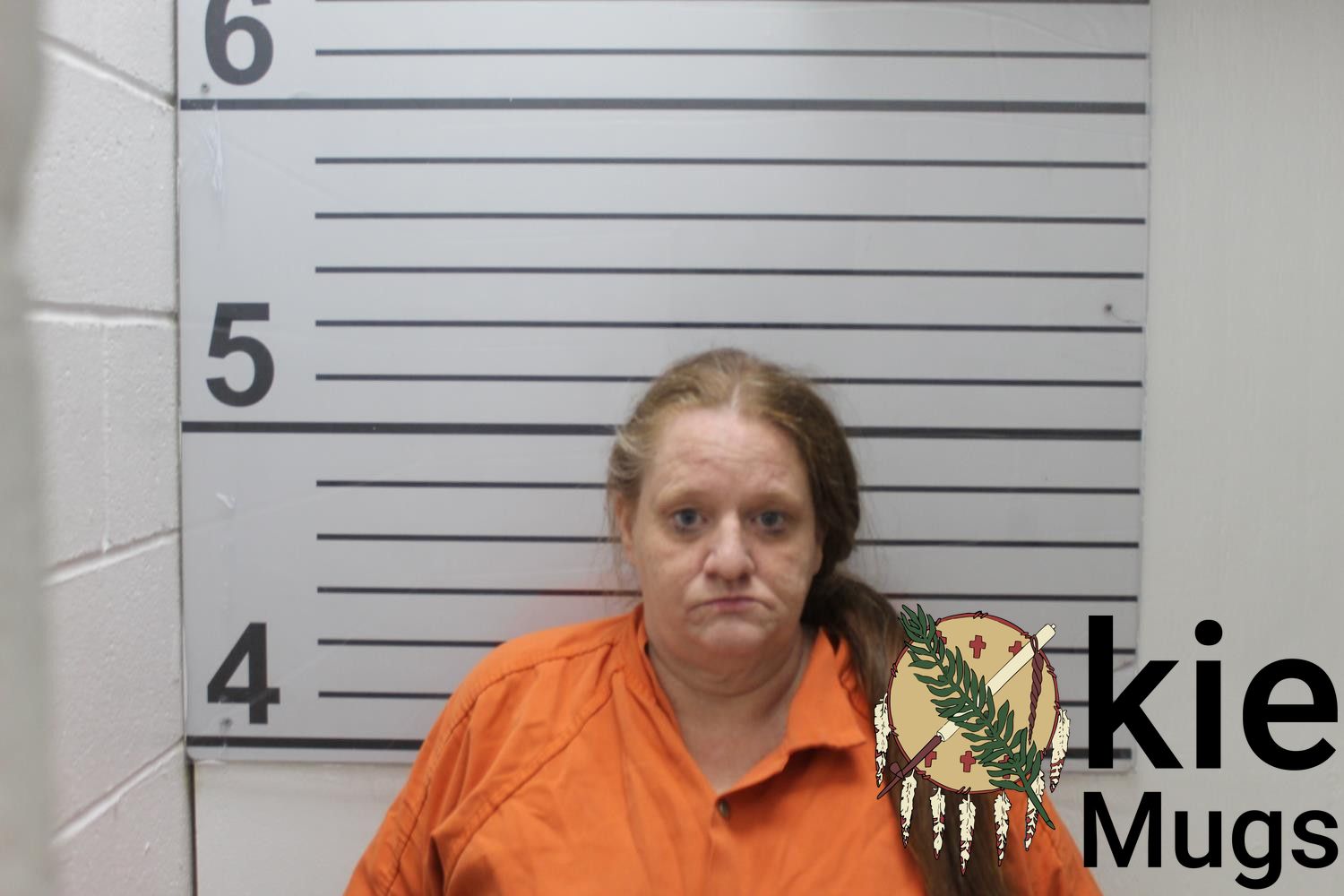 Booking photo of MICHELLE SHALON STAMPER-LANG