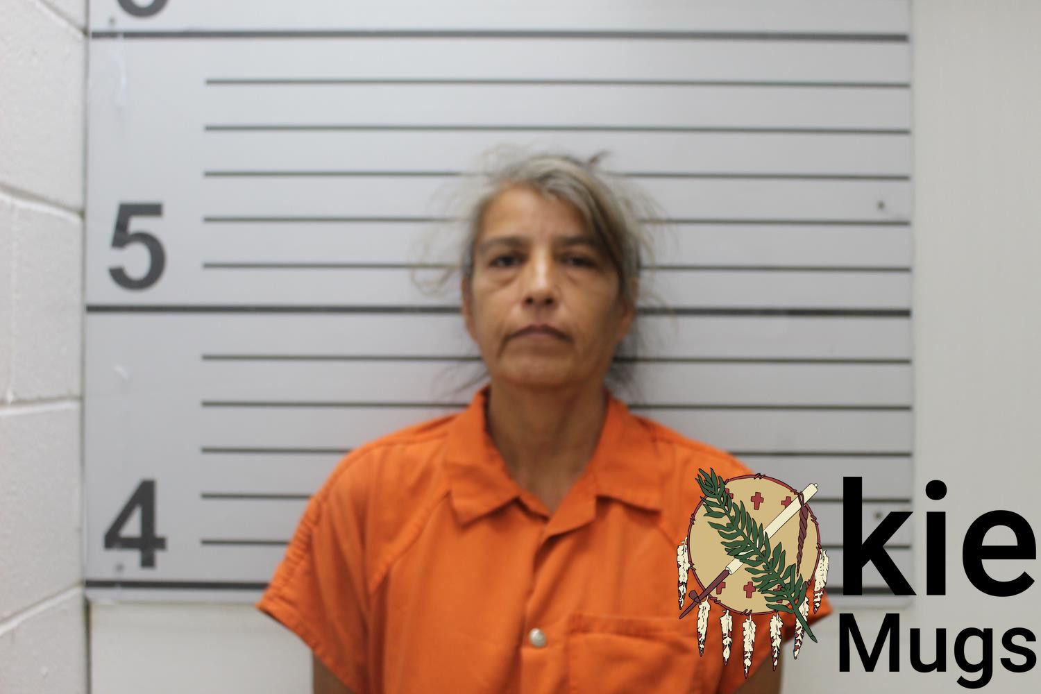 Booking photo of MINNIE ELIZABETH (CHEROKEE) HOUSE