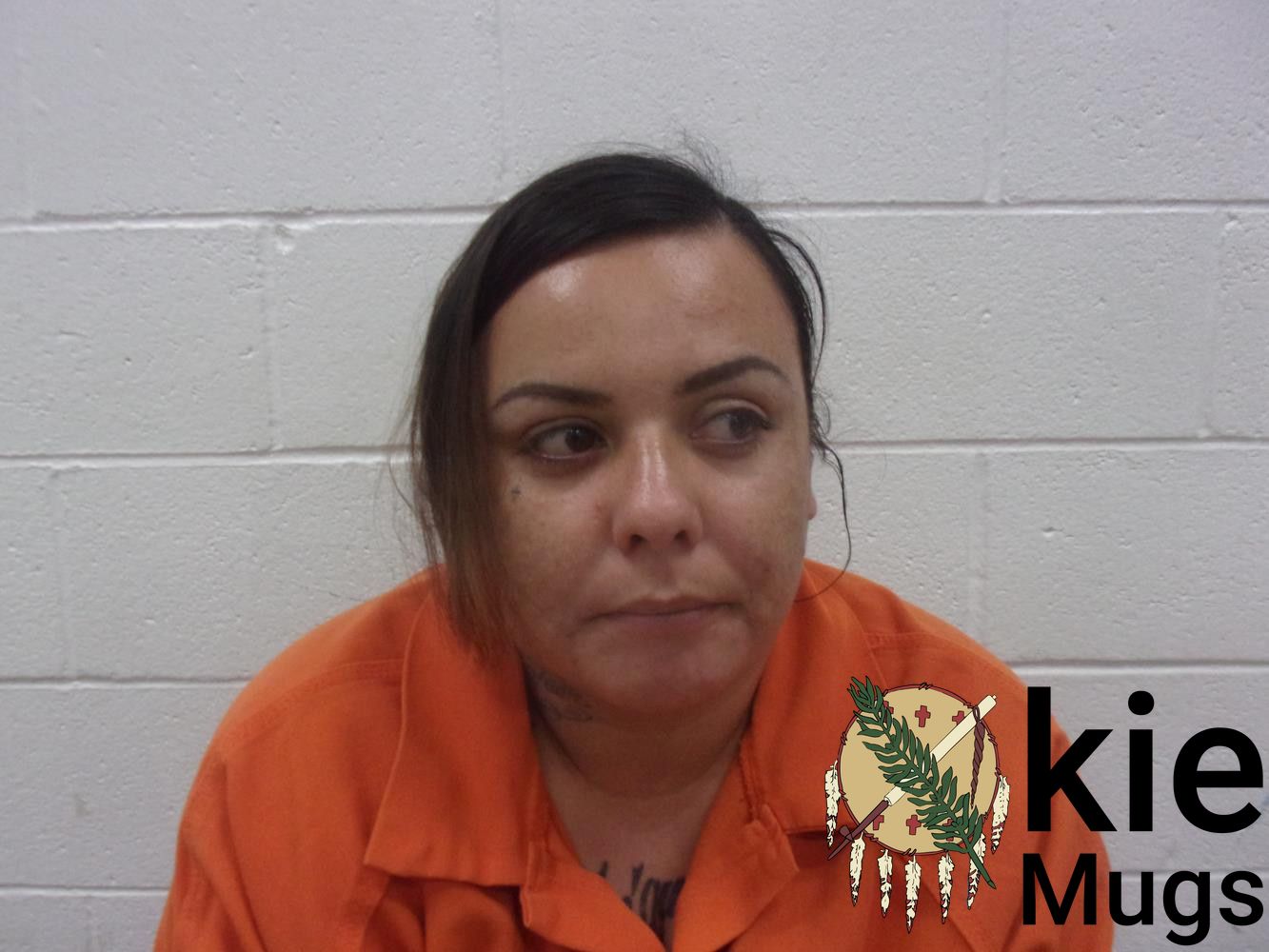 Booking photo of MISTY LYNN WILLIAMS