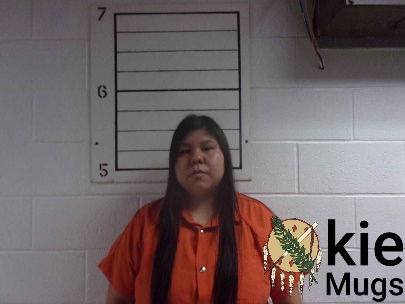 Booking photo of MVNECHA (CREEK) HARJOCHEE