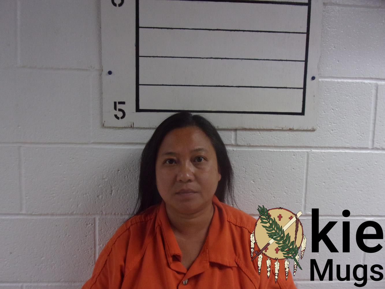 Booking photo of NALILA VANG