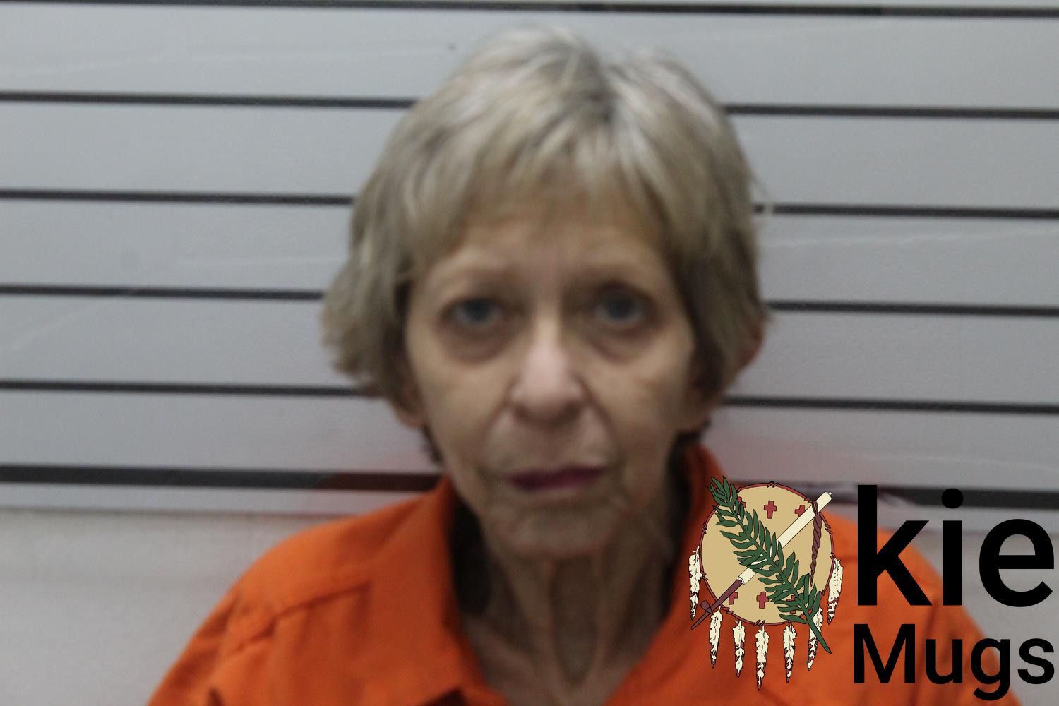 Booking photo of NANCY CAROL TURNER
