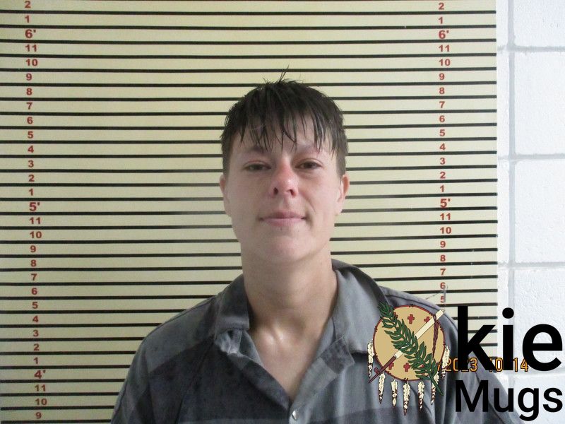 Booking photo of NATASHA BROOKS