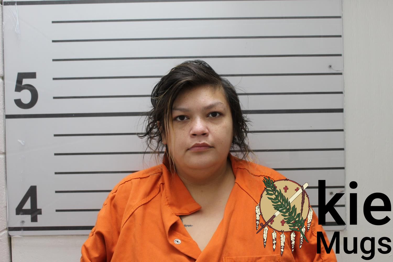 Booking photo of NATASHA HANKINS