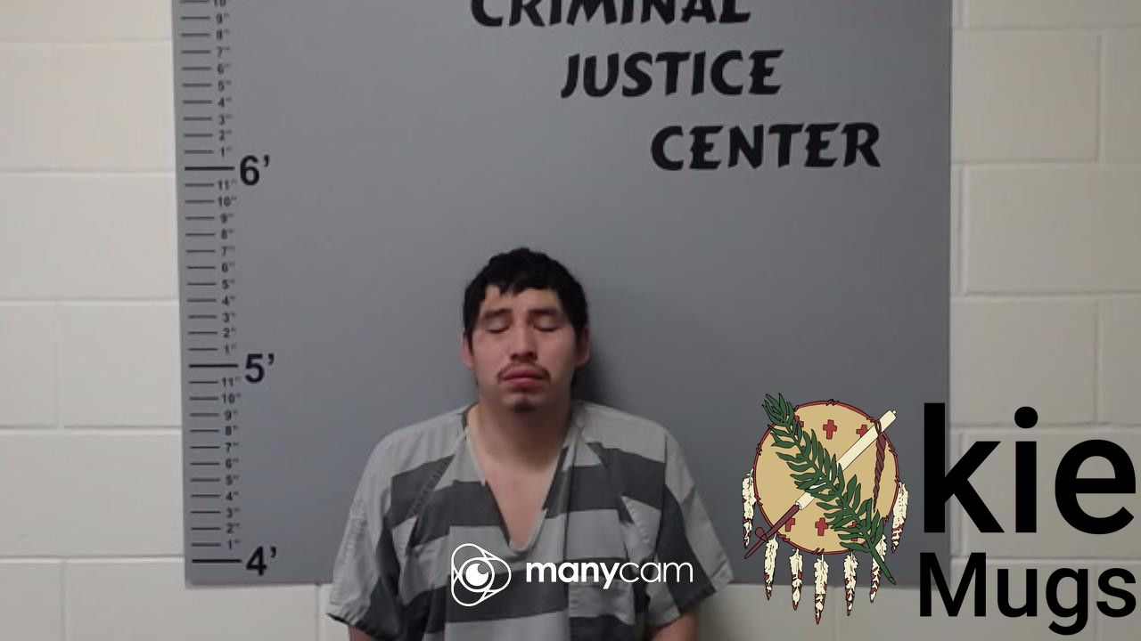 Booking photo of NATHAN TAFV LEWIS