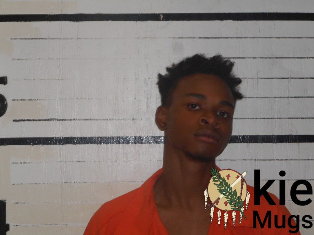 Booking photo of NEKO RAMONE LOWE