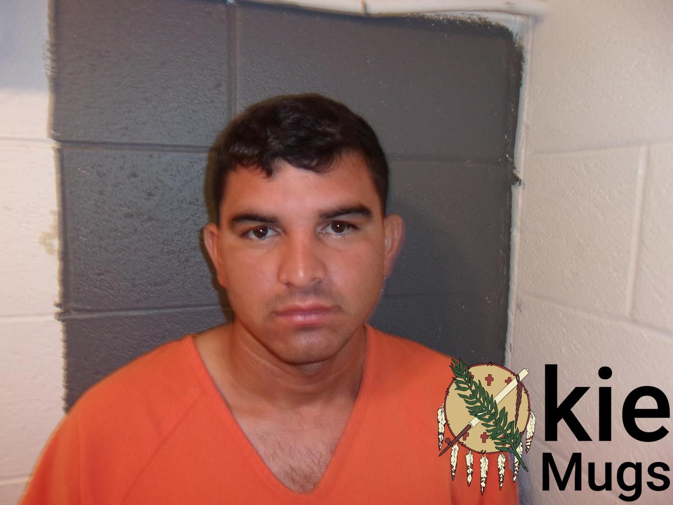 Booking photo of NELSON GERALDO DIAZ SANTOS