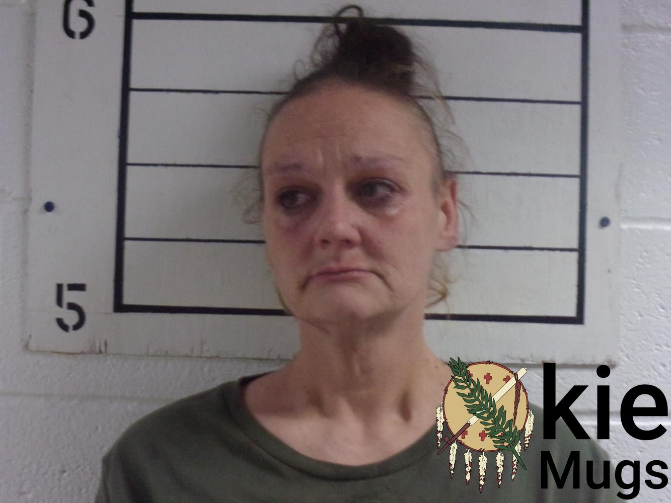 Booking photo of NIKKI ANN WELCH