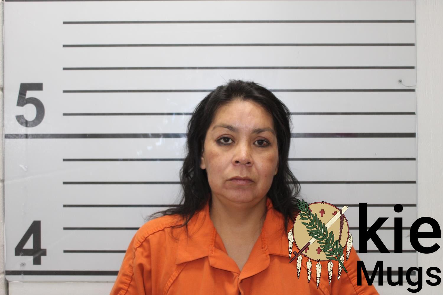 Booking photo of NYSA ANN OTTERLIFTER