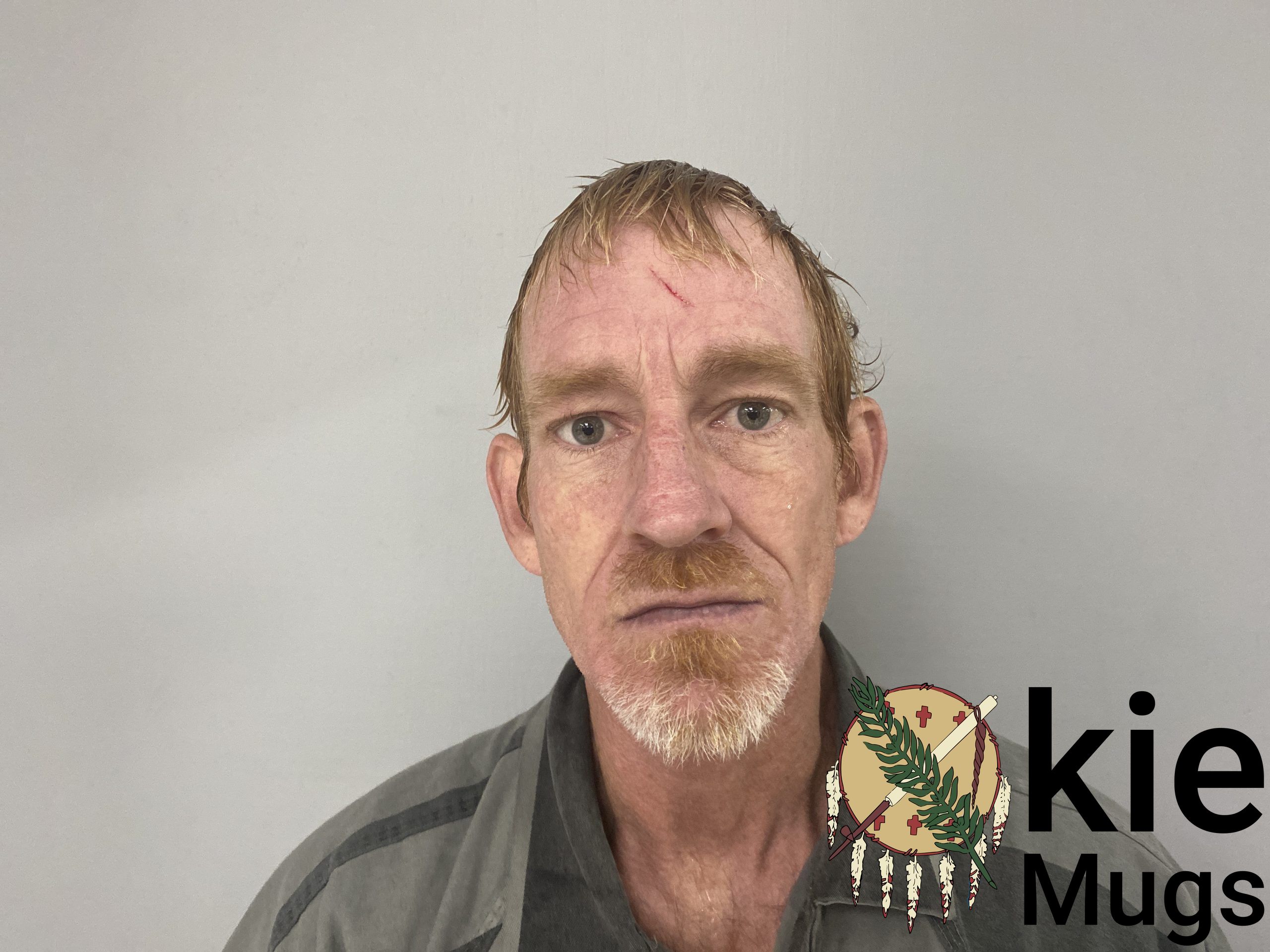 Booking photo of MICHAEL OGWIN