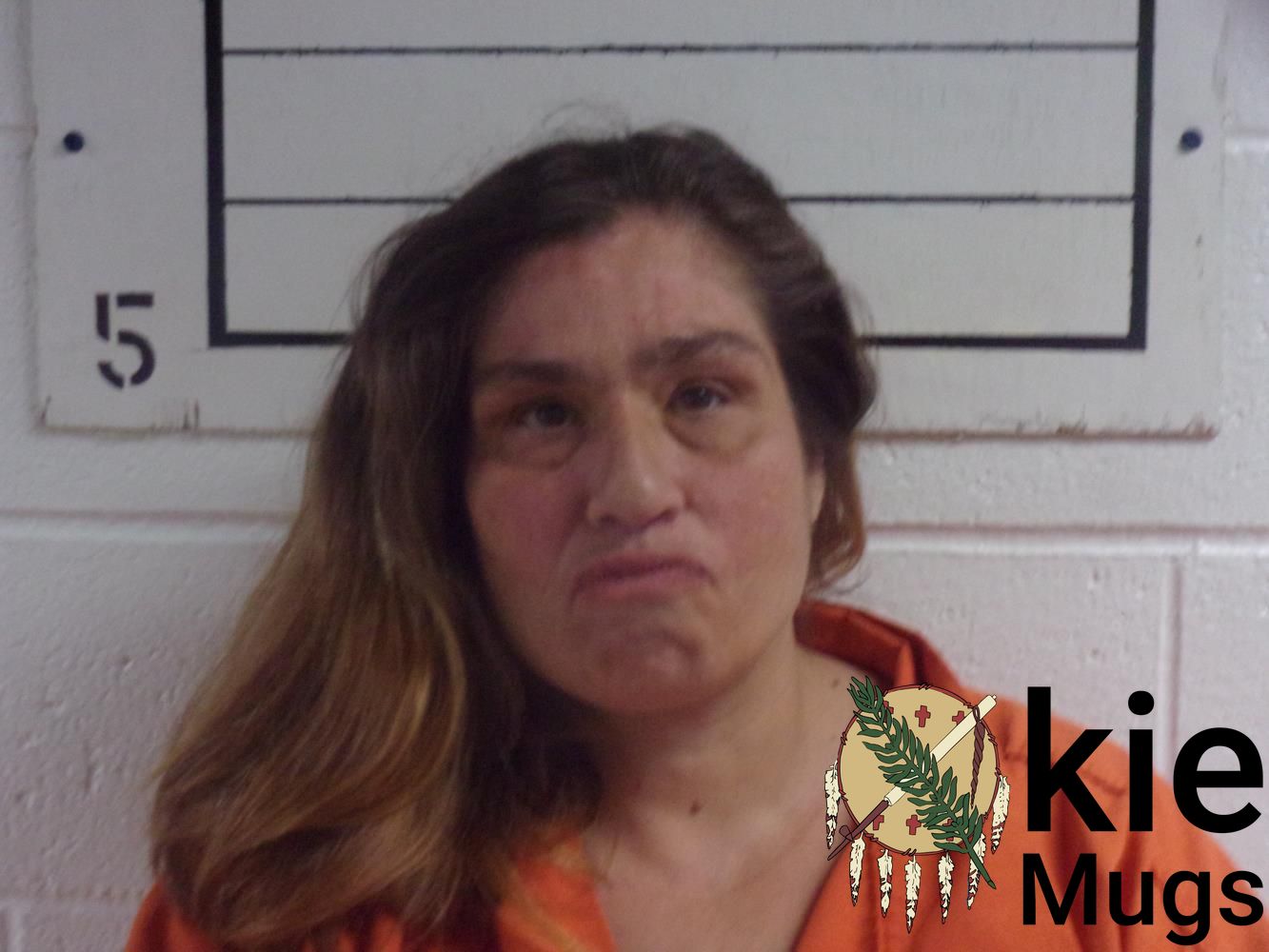 Booking photo of PATRICIA JOANN CHAMBERS