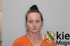Booking photo of PATRICIA MARIE GARRISON