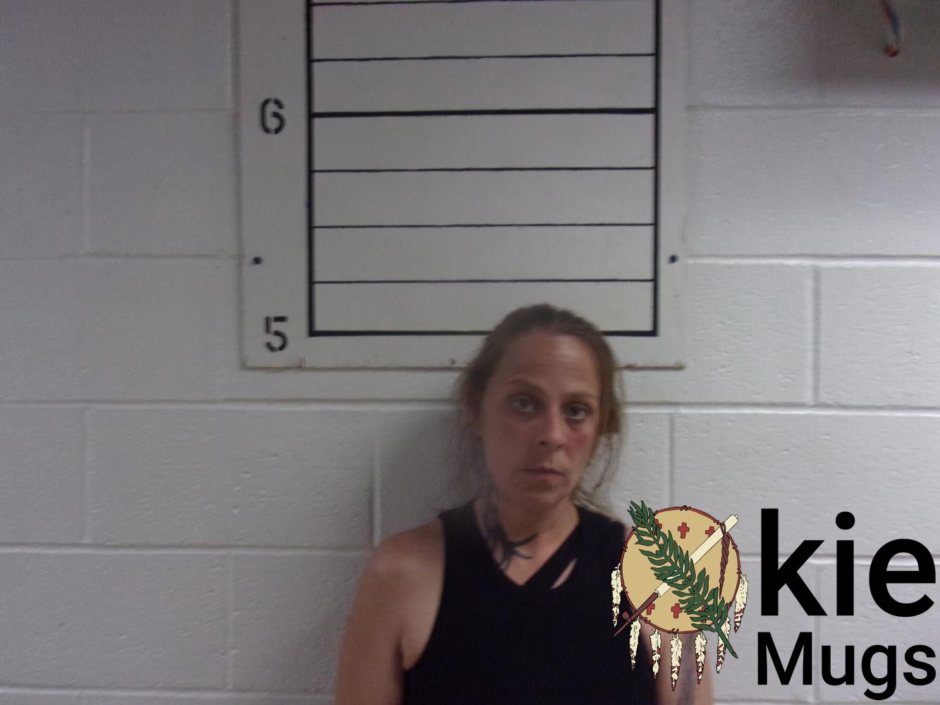 Booking photo of PAULA DIANE LAMBETH