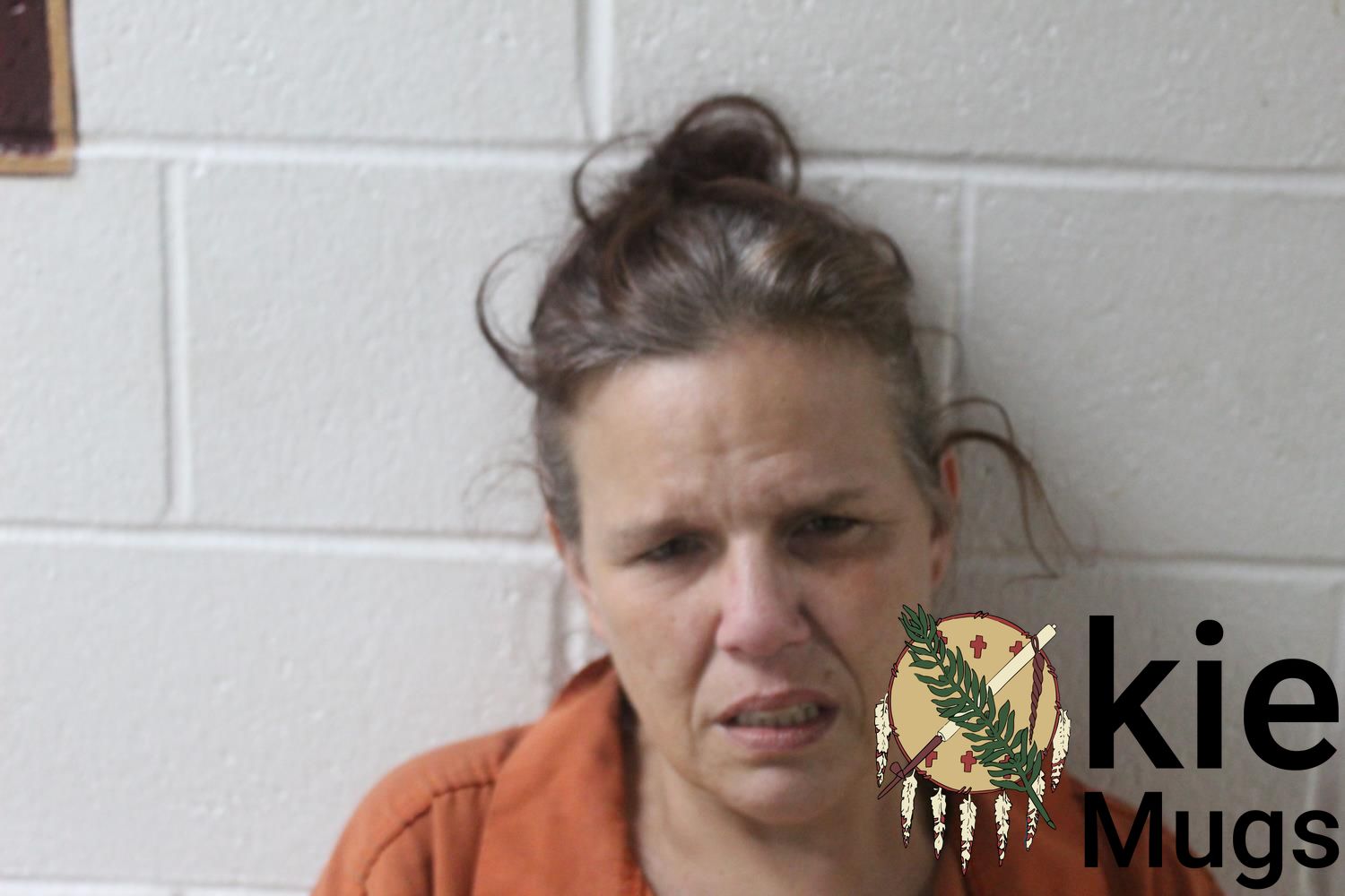 Booking photo of SMITH, SUSAN LYNN