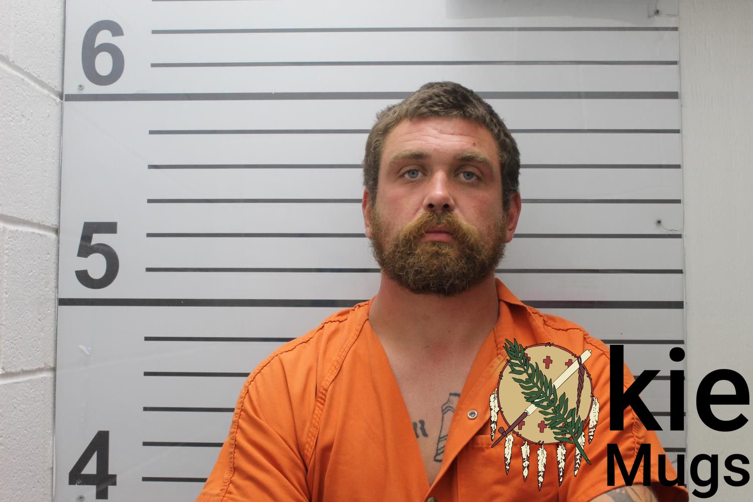 Booking photo of AUSTIN LEE HODGES
