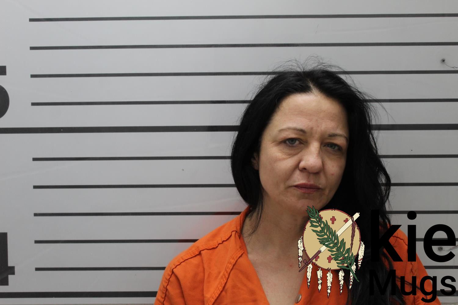 Booking photo of LISA BARNETT