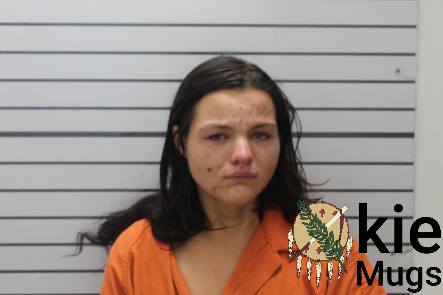 Booking photo of HORTON, JOANIE