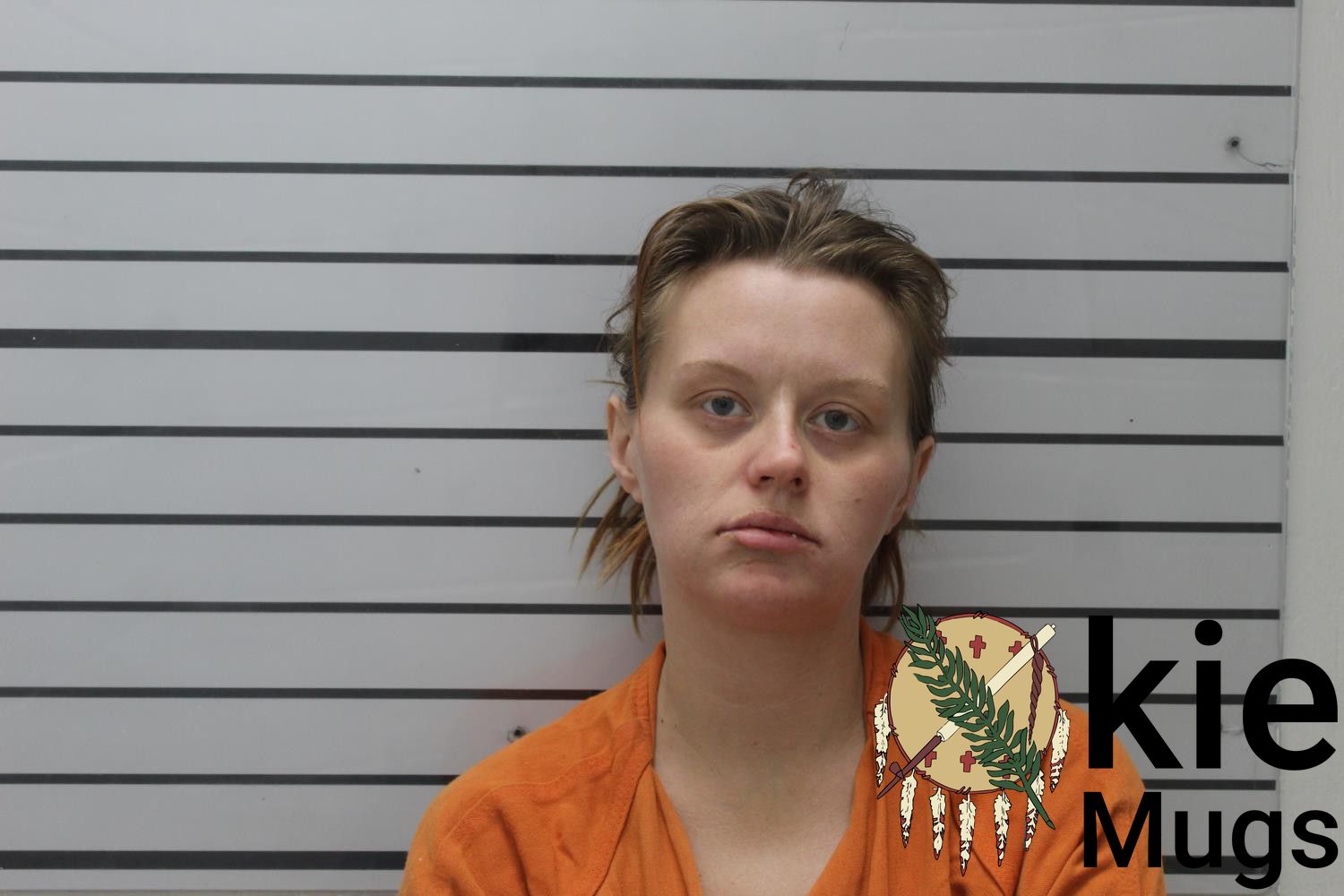 Booking photo of BRANDI NICOLE QUILLEN