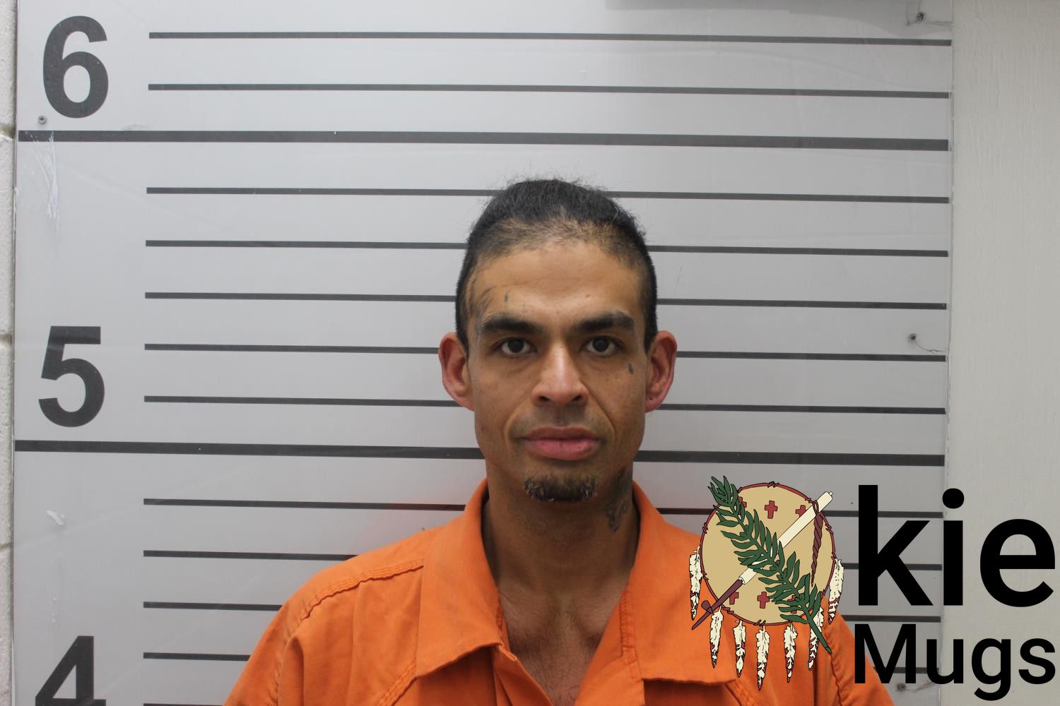 Booking photo of LEWIS MITCHELL WALKER