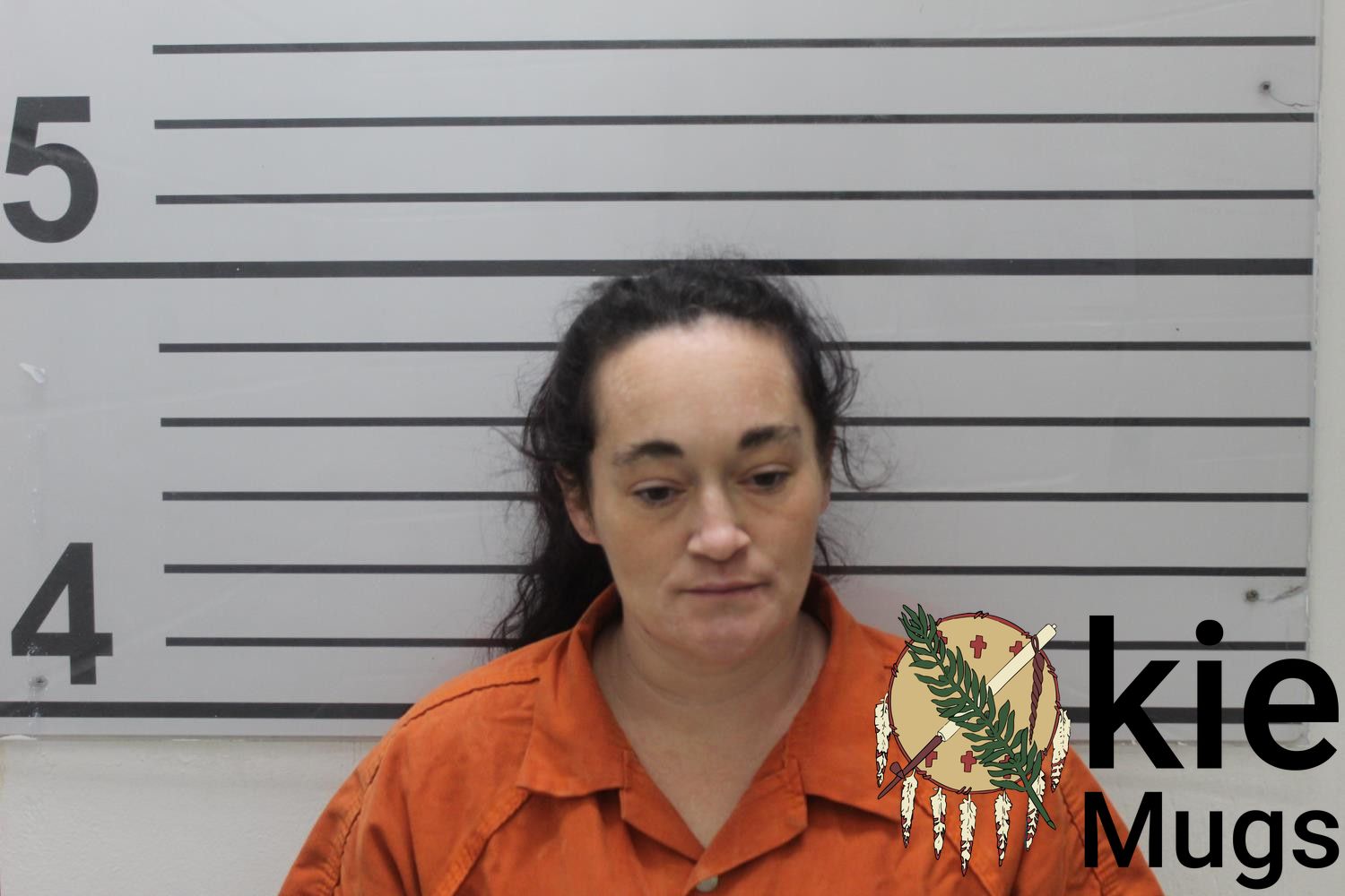 Booking photo of LINDSEY JADE FARMER