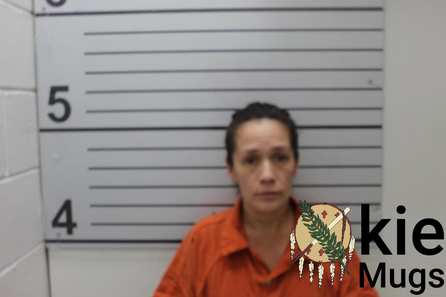 Booking photo of AMBER LYNN BROWN