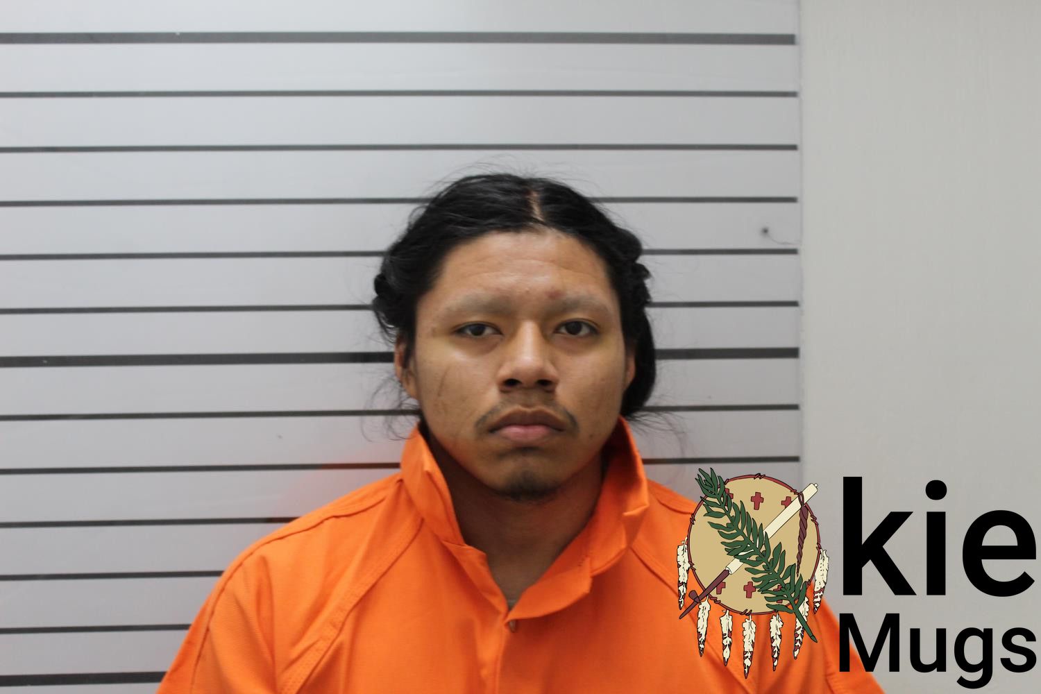 Booking photo of HOTVLE LEE HICKS