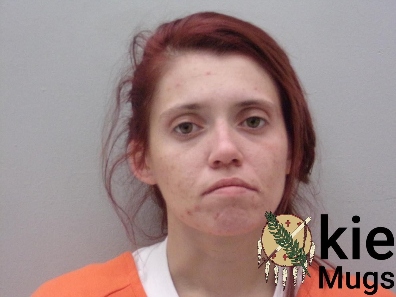 Booking photo of PHILLIS KAYE LOHMANN