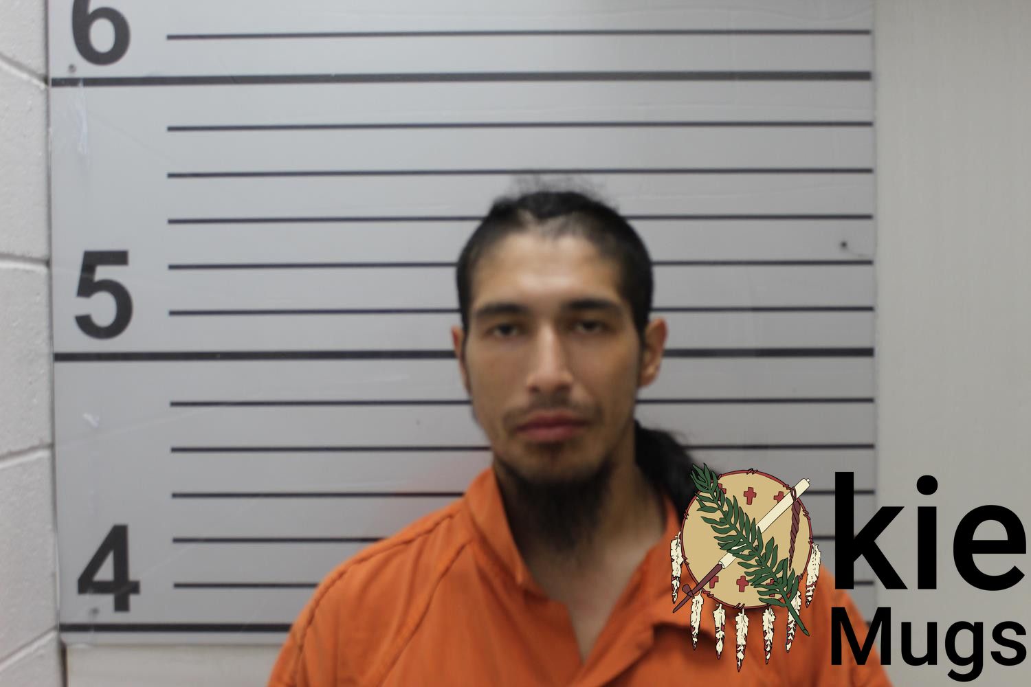 Booking photo of RAMEY RAY BIGGOOSE