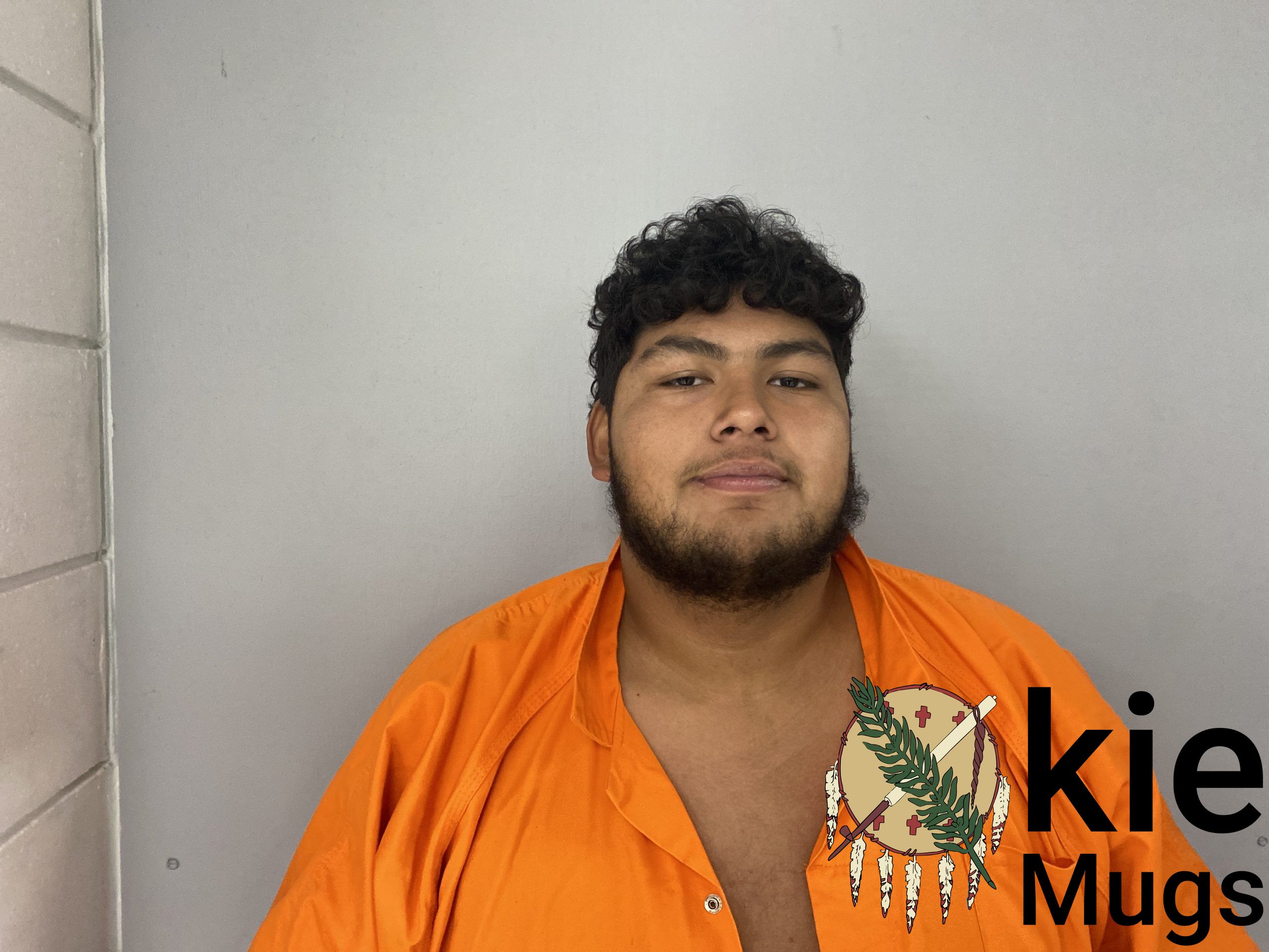 Booking photo of LUIS RAMIREZ
