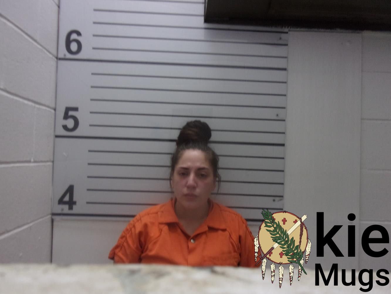 Booking photo of RENEE ANN LOFTIN