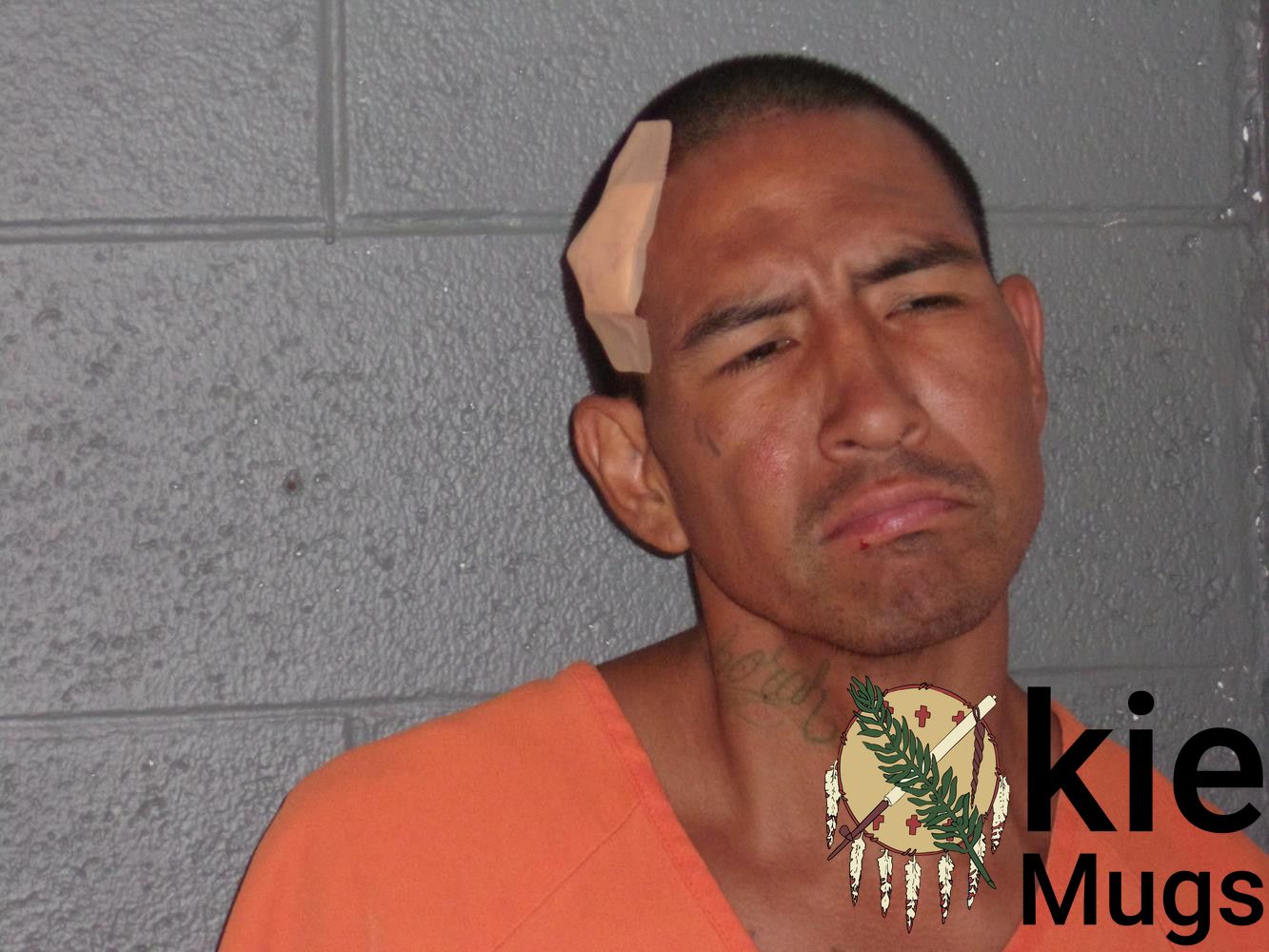 Booking photo of RICHARD MICHAEL JOHNSON