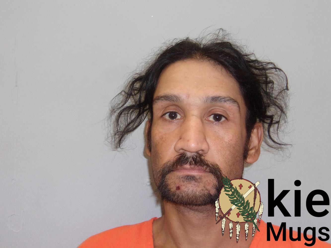 Booking photo of ROBERT CHESTON ARNEECHER