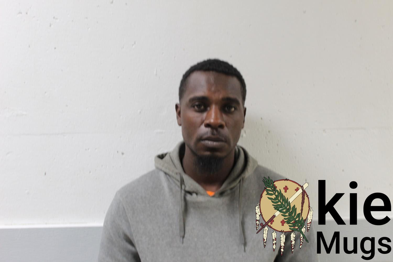 Booking photo of ROBERT L. ROBERSON JR.