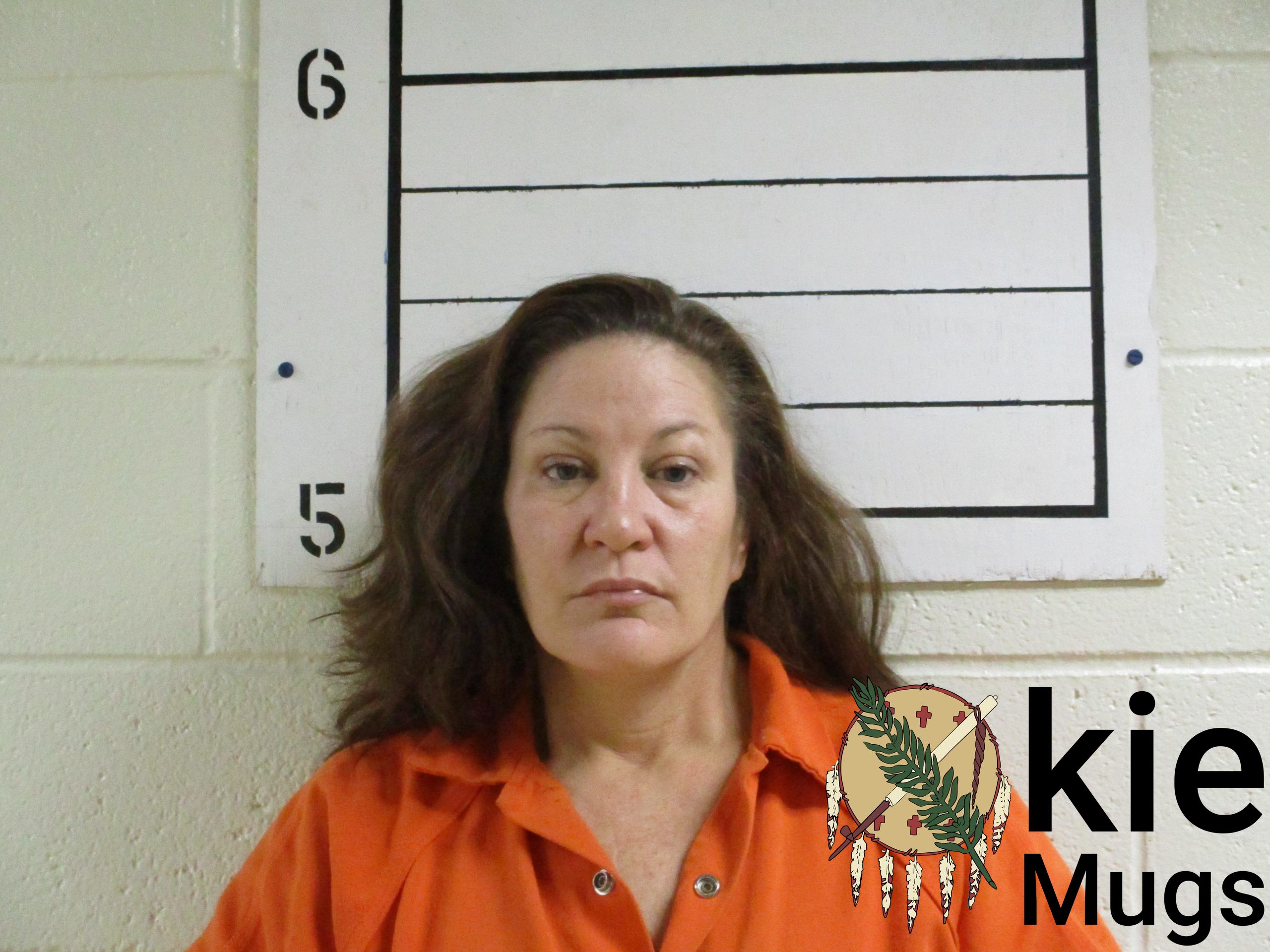 Booking photo of ROBIN ANN GIBSON
