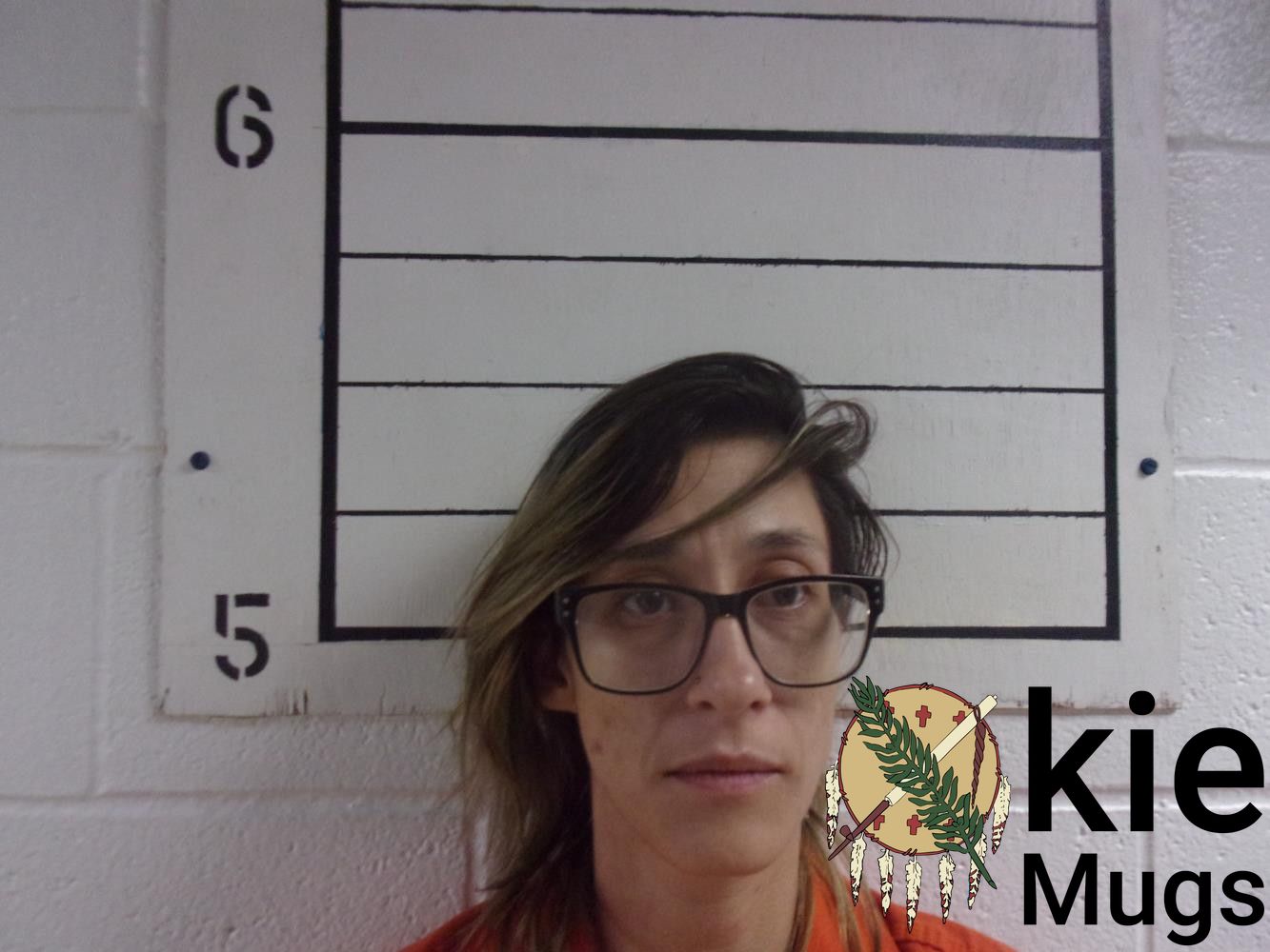 Booking photo of ROBYN SETTLES