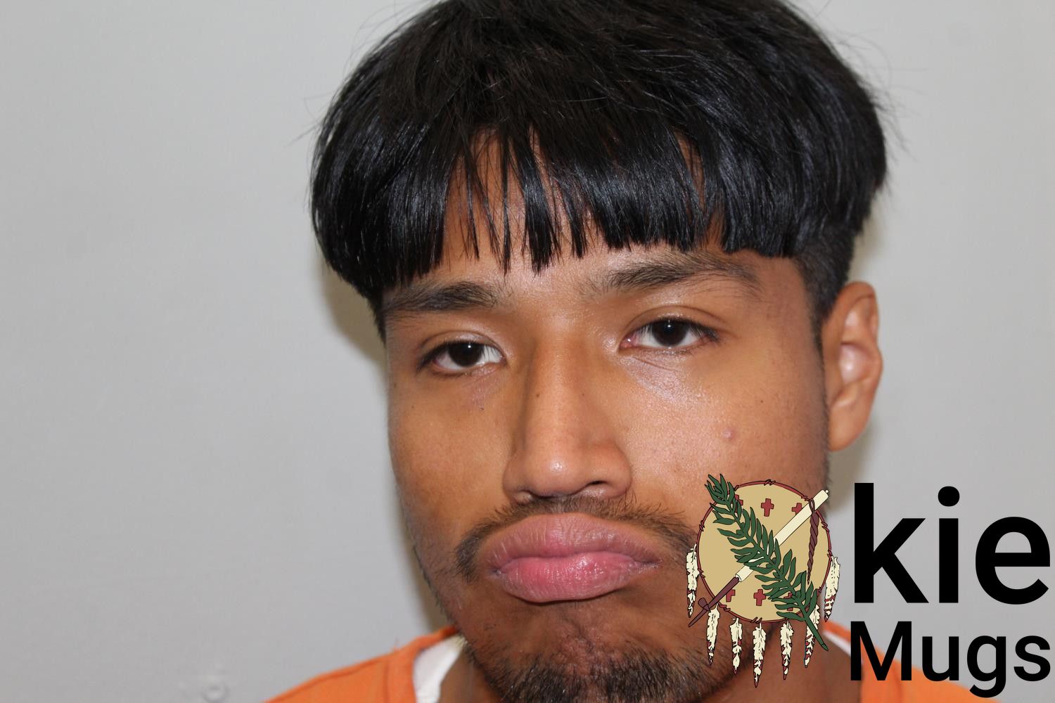 Booking photo of RONALDO VENTURA