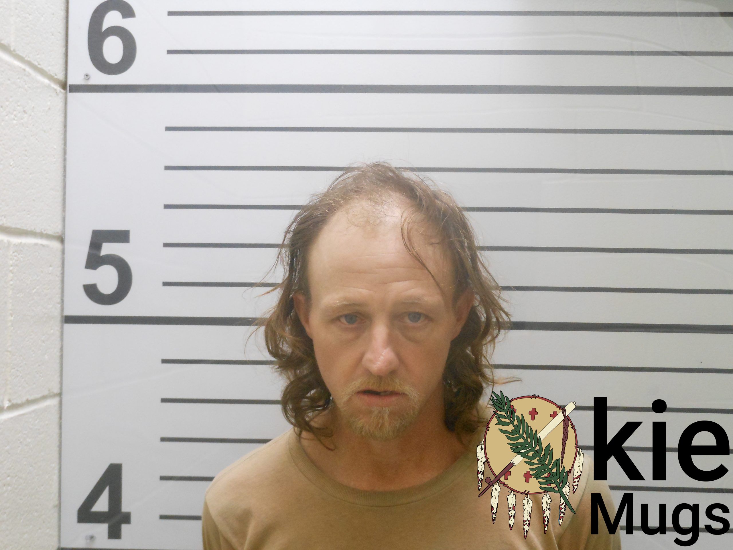 Booking photo of RONNIE LEE DOBBINS