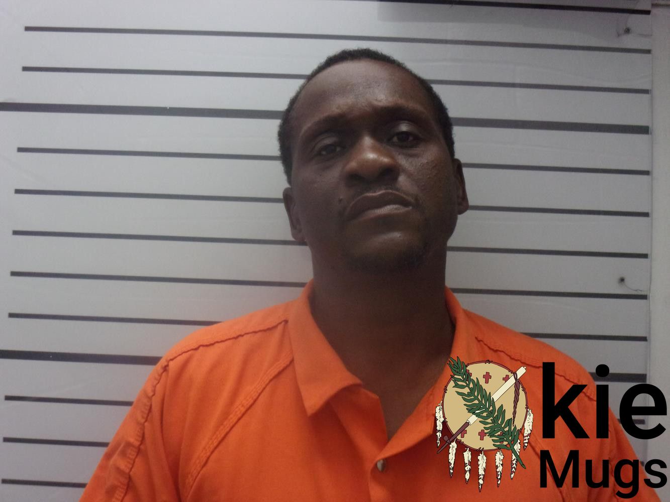 Booking photo of ROY LAY