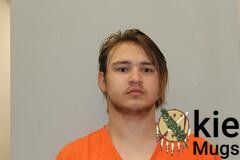 Booking photo of RYAN JAMES WILLIAMS