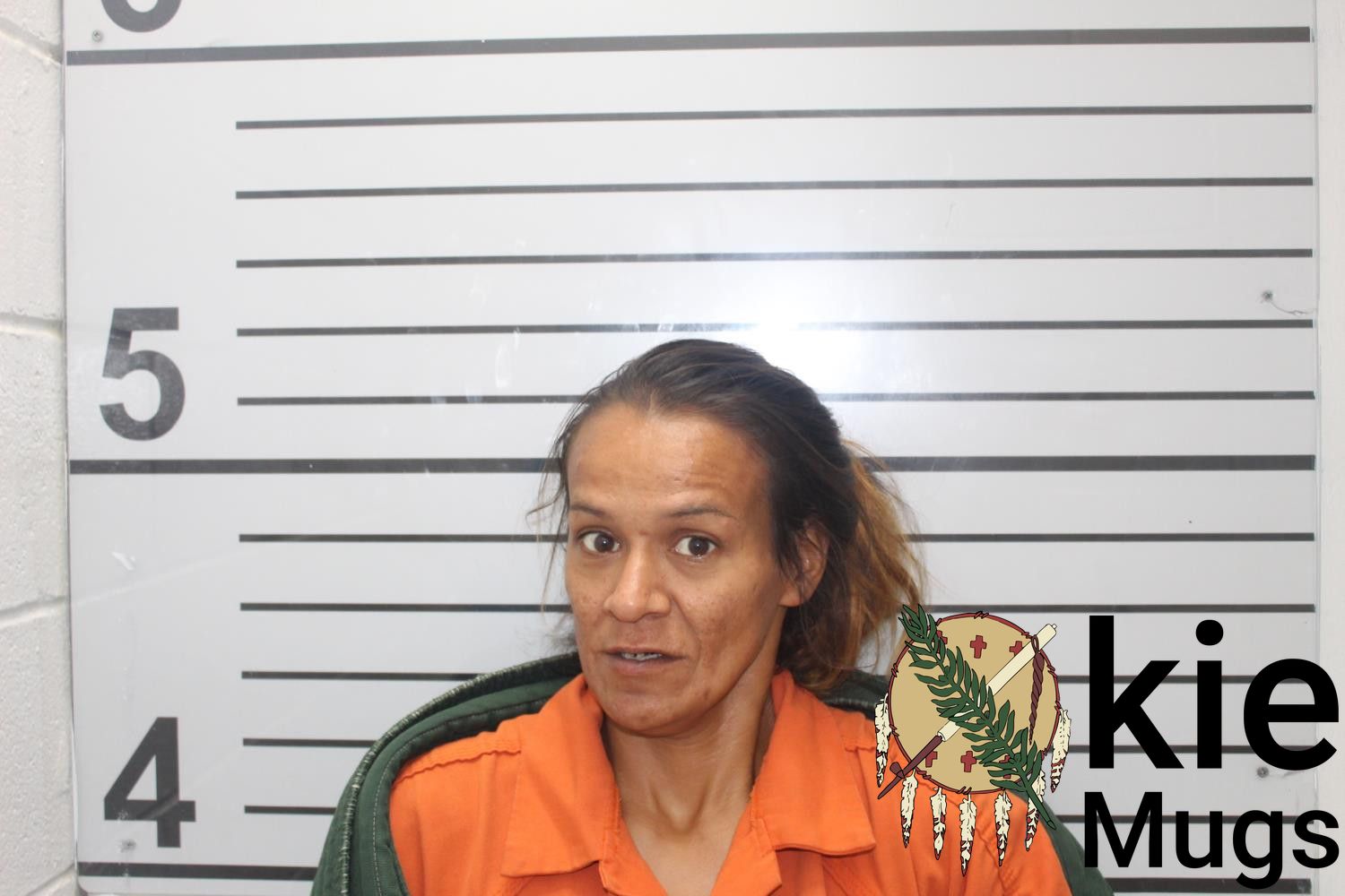 Booking photo of SALLYANN LYNN PARKHURST