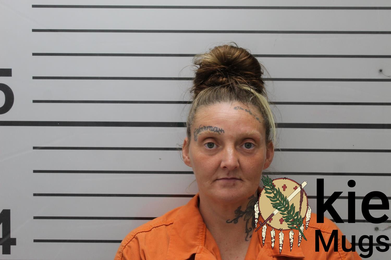 Booking photo of SAMANTHA HEINE