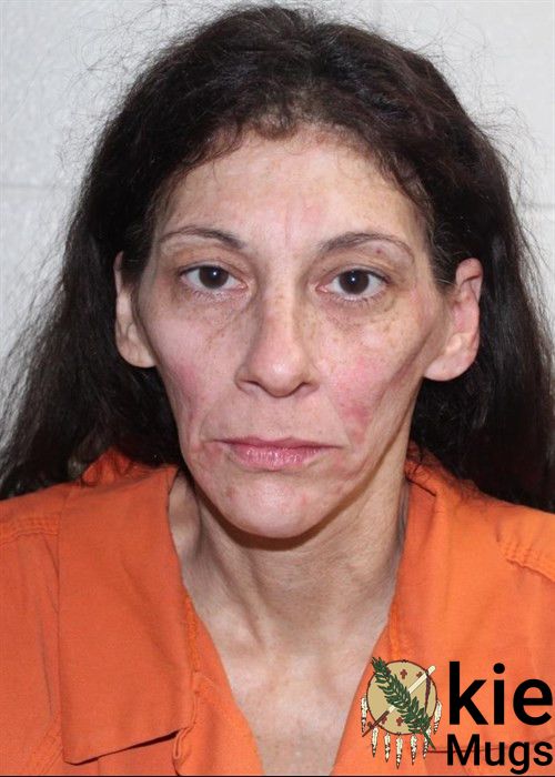 Booking photo of SARA LYNN MCINNIS